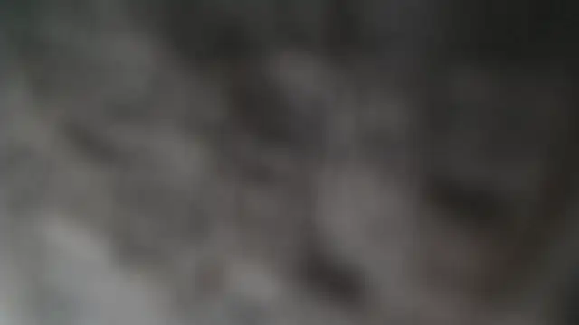 MiniCooperECE XXX чат на живо