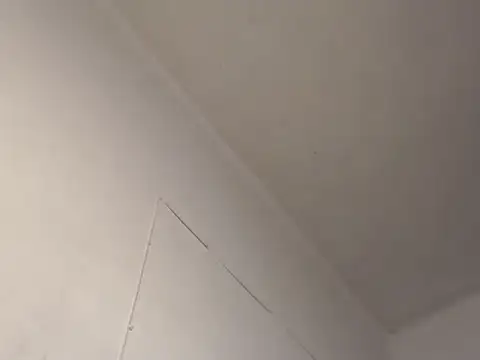 Eboni_hotboobs_ Chat XXX live
