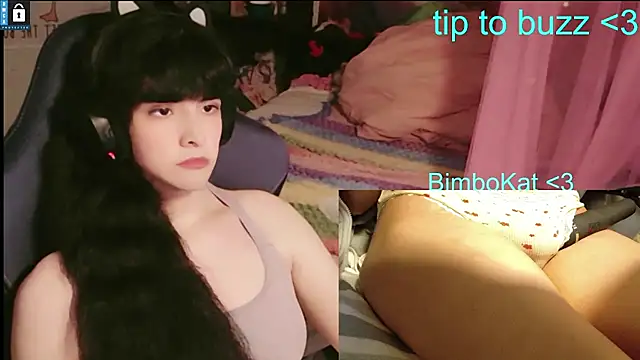 دردشة BimboCat الجنسية المباشرة