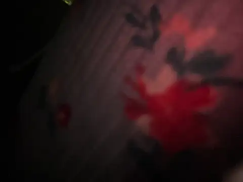 Arielwett21's Live XXX Chat