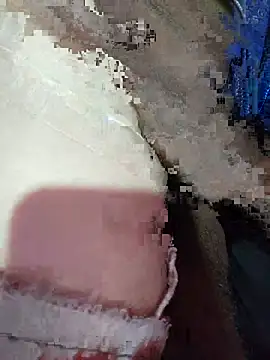 Riya-Priya Pertunjukan Webcam