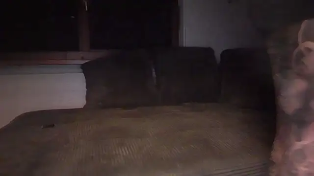 Kingclit1998 Webcam-Show