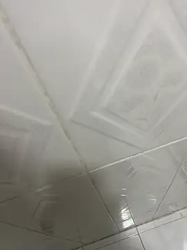 max_smith15 webkamerás műsora