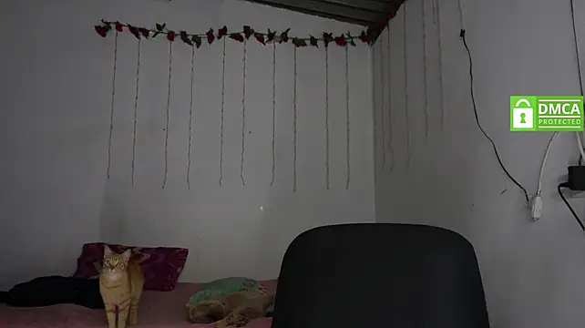 XXX chat uživo modela Maylin_brown