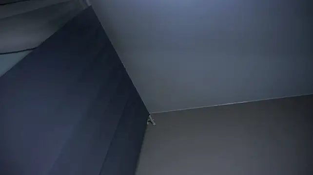 Chat XXX en directo de CaroleeRajala