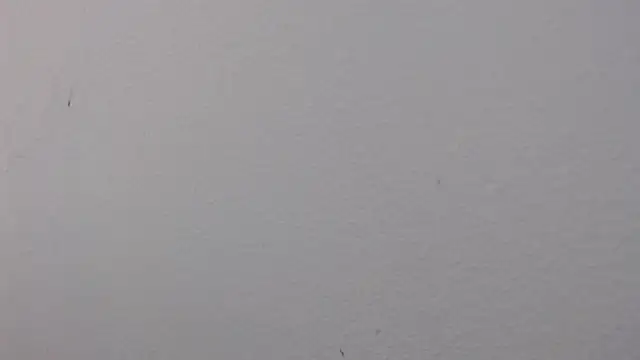 Adriana_0312's Live XXX Chat