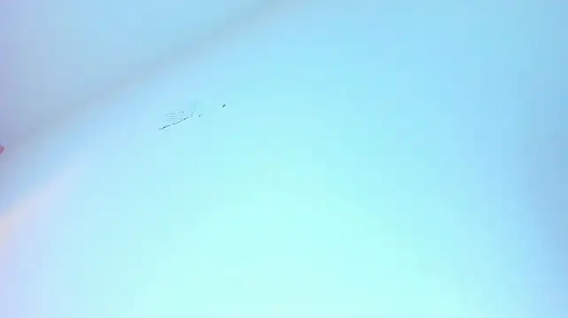 Chatroom XXX en direct de Miia03