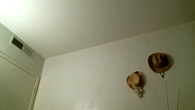 Chat XXX en directo de SexyB214