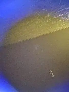 marku56744 – Naživo XXX chat