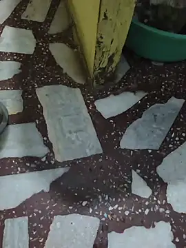 Sembang XXX Secara Langsung Priyasexcpl