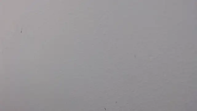 Adriana_0312 现场XXX聊天