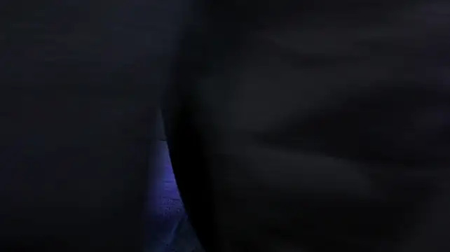DrakeNeumann live XXX chat