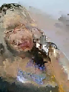 Shakeera1n Live XXX chat