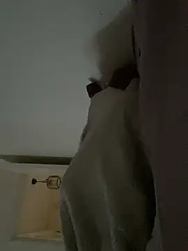 Divabolical Live XXX-Chat