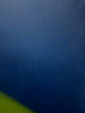 Webkamerová show Roshini2026