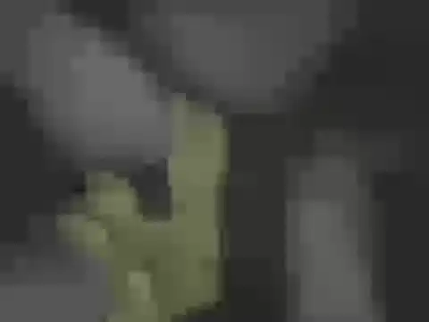 AFROSEXX Chat XXX in diretta