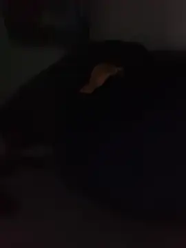 ChuckyyDeen Webbikameraesitys