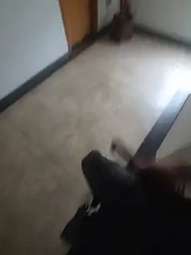 Chat +18 de EnricoNetto ao vivo