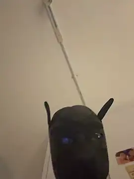 AsianCadetDog 网络视讯表演