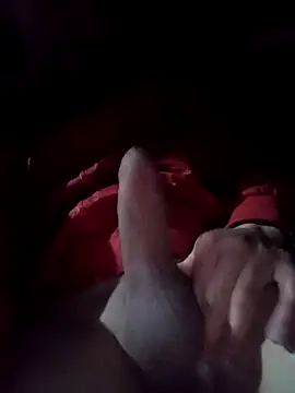 VergonVip webcam show