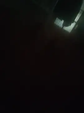 WideArm3 Webcam Show