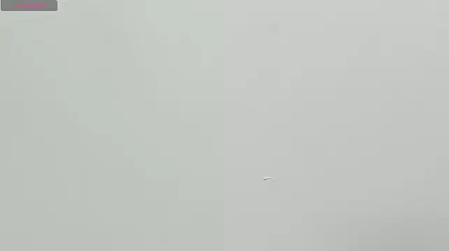 Minniepetite 现场XXX聊天