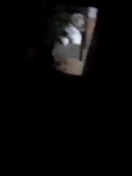 davildarfulkonn Webbikameraesitys