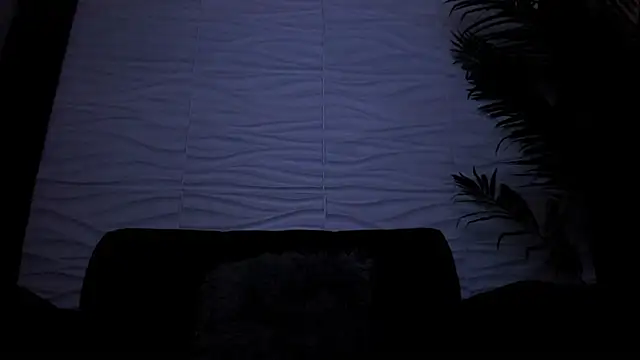 Онлайн чат XXX Pavo_tv