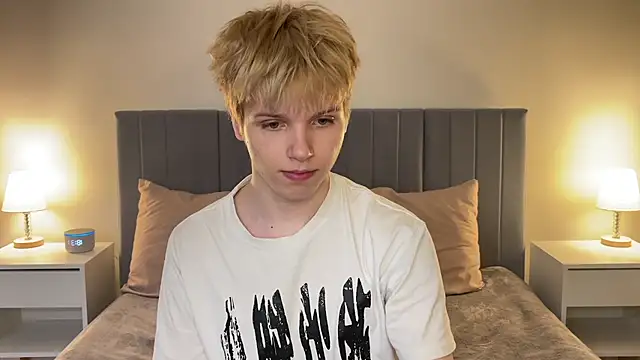 عرض كام metarion