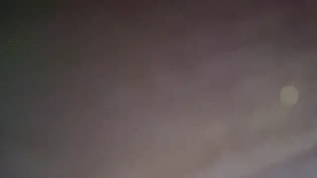 THEFOXESDEN3 élő XXX-chatje