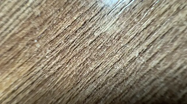 VallieBoddorf 라이브 XXX 채팅