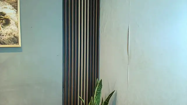 Show de Phineas_Flynn_ na webcam
