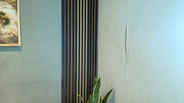 Phineas_Flynn_ Webcam-Show