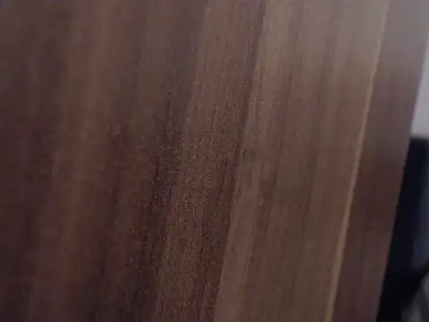 Manfred-Bi Webcam-Show