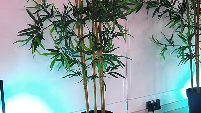 LexxyBloom 라이브 XXX 채팅
