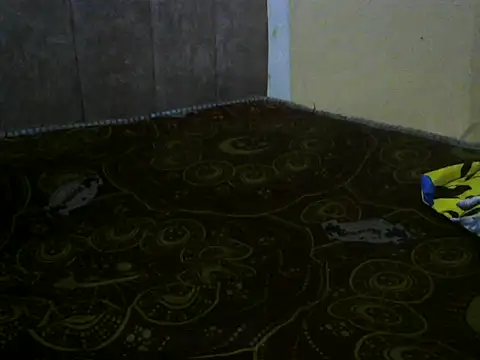 Chat XXX Live Bigras0011