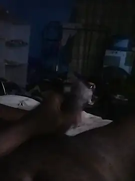 عرض كام Dick_undisputed