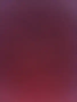 Chat XXX Live sile2000nou