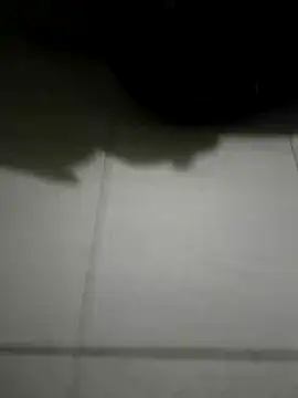 9WallaKWoodB 网络视讯表演