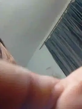 castforit Chat XXX live