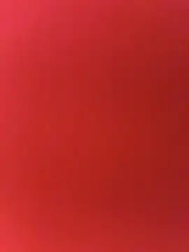 ni8sow Show Webcam