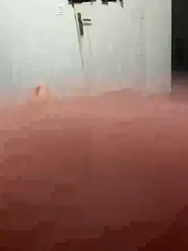 Show Webcam de lebig75013