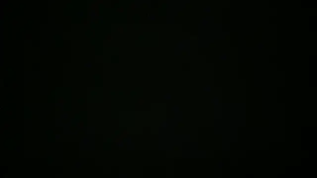 RIENASIGNALER Chat XXX in diretta