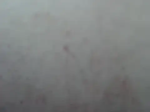 Cheliafun Chat XXX live