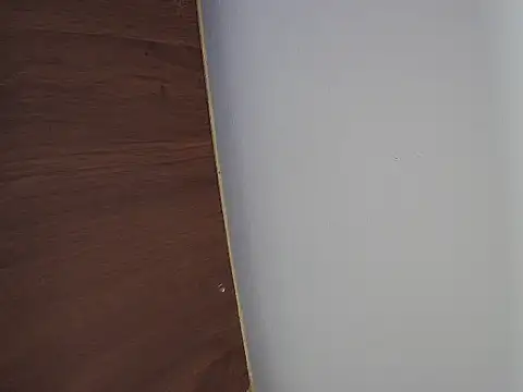 Ponpeo Webcam-Show