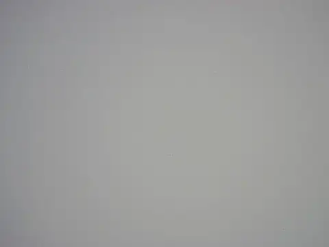 Ponpeo webcam show