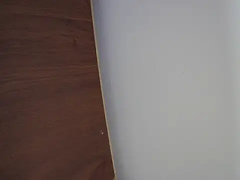 Ponpeo 웹캠 쇼