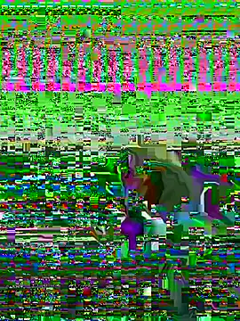 Show Webcam de Tij664el