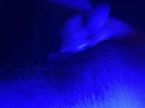 POXmx Live XXX-chat