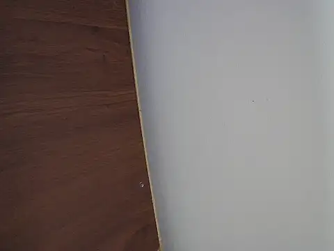 Ponpeo Pertunjukan Webcam